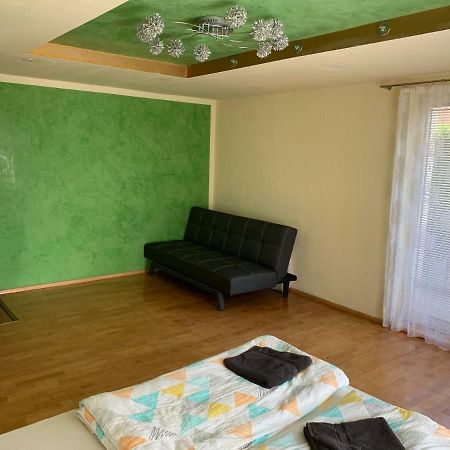 Nexi S Appartement An Der Enns 9 라드스타드트 외부 사진